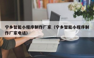 磁县宁乡智能小程序制作厂家（宁乡智能小程序制作厂家电话）