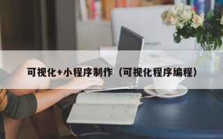 磁县可视化+小程序制作（可视化程序编程）